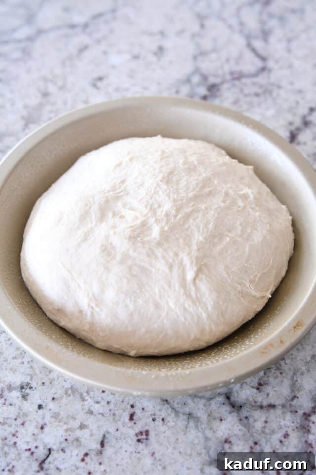 Effortless Rustic Sourdough Loaf 8 Unbaked sourdough peasant bread dough resting in a metal pie tin, ready for its final proof and bake.