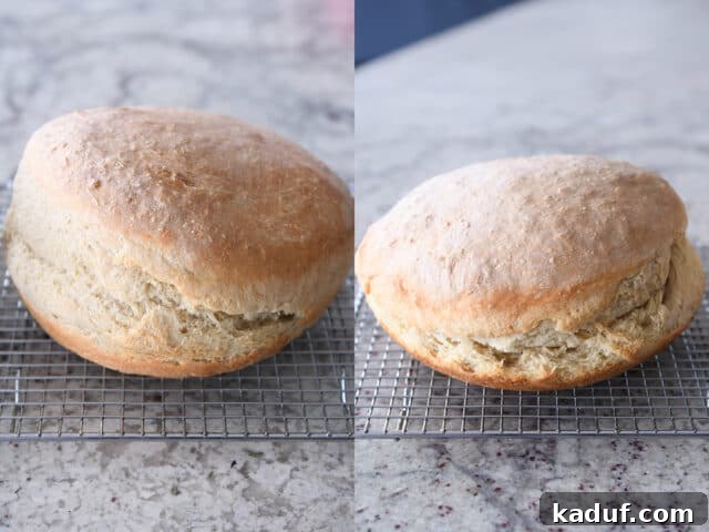Effortless Rustic Sourdough Loaf 10 Two freshly baked loaves of sourdough peasant bread on a wire rack, illustrating the subtle differences between bread made with fed starter (left) and discard (right).