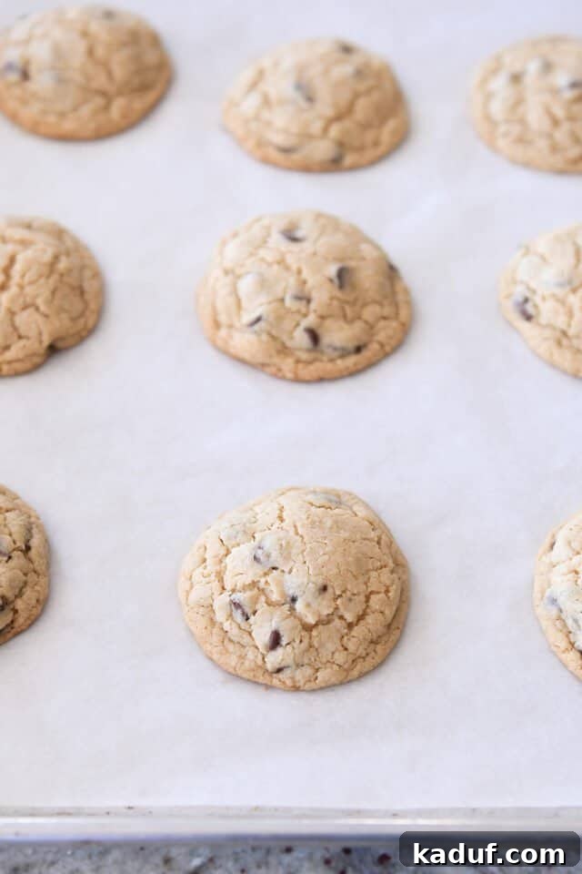 Velvety Oat Chocolate Chip Cookies 5 Freshly baked chocolate chip blended oatmeal cookies resting on parchment-lined sheet pan.