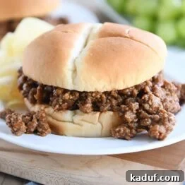 sloppy joe on white plate