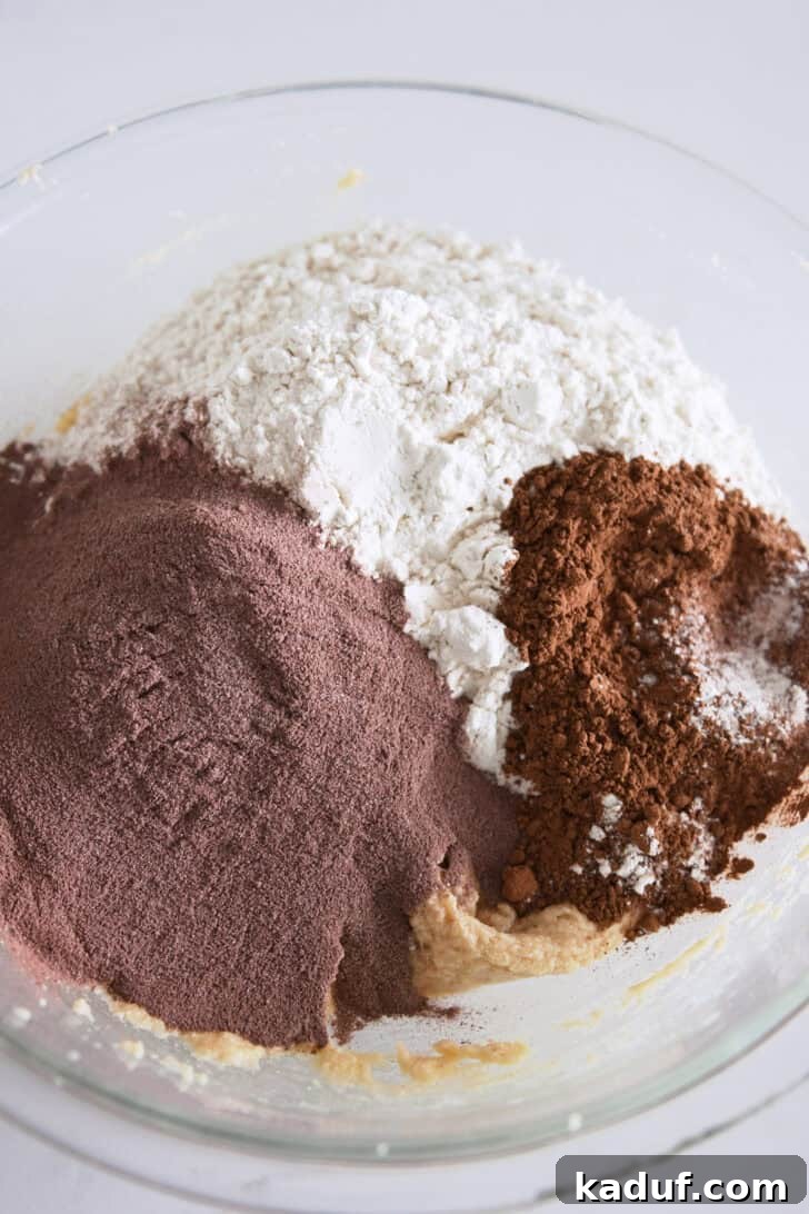 Cozy Cocoa Delights 3 Ingredients for Hot Cocoa Cookies