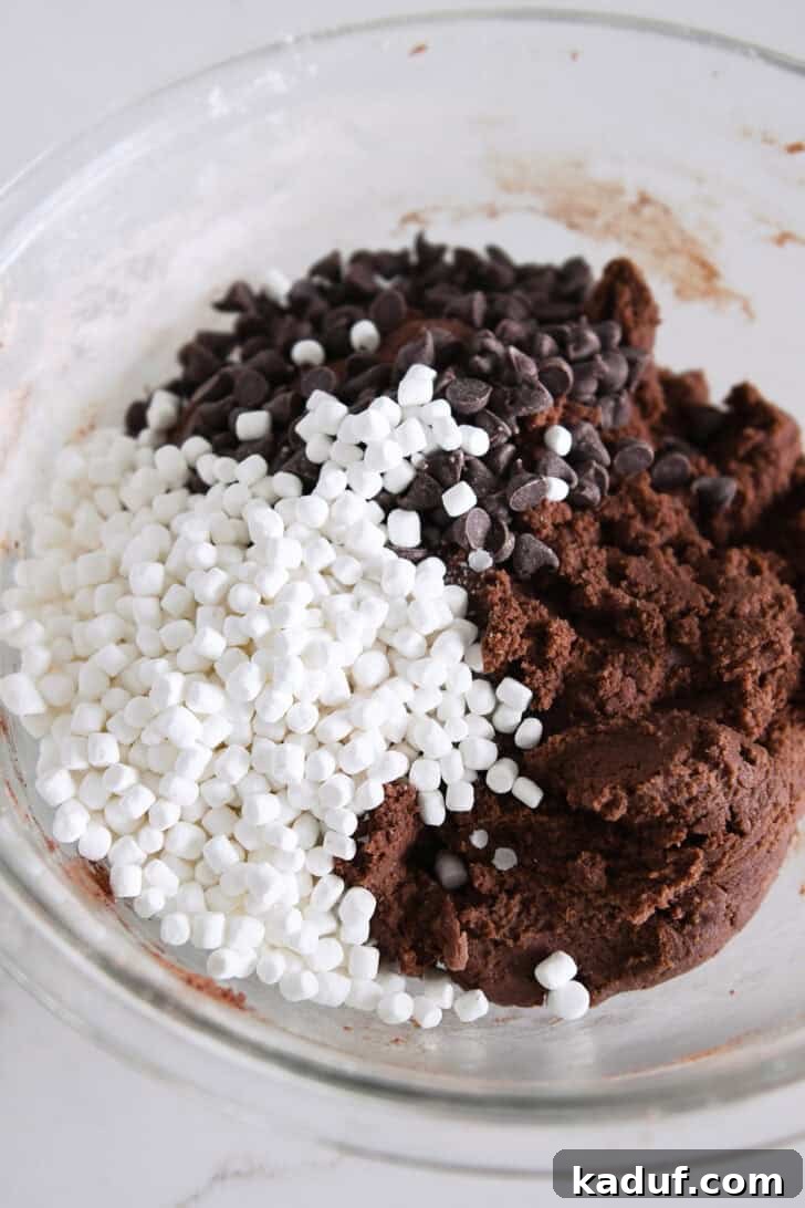 Cozy Cocoa Delights 4 Chocolate cookie dough with chocolate chips and marshmallows