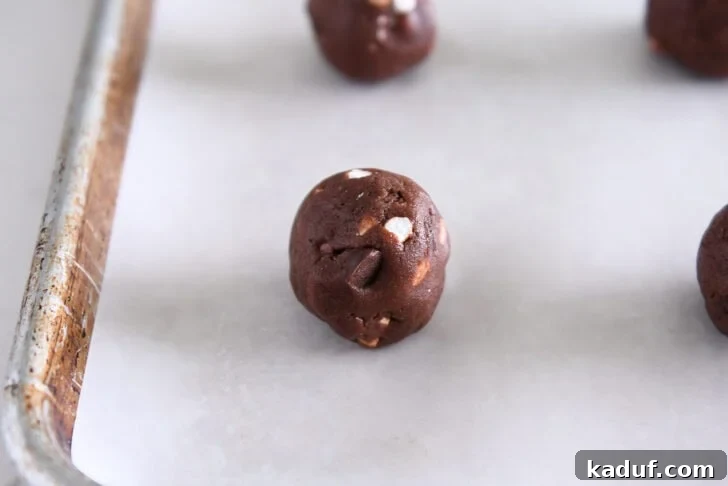 Cozy Cocoa Delights 5 Hot cocoa cookie dough ball