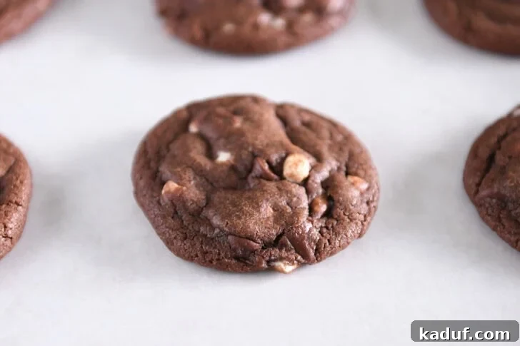 Cozy Cocoa Delights 6 Baked hot cocoa chocolate cookie