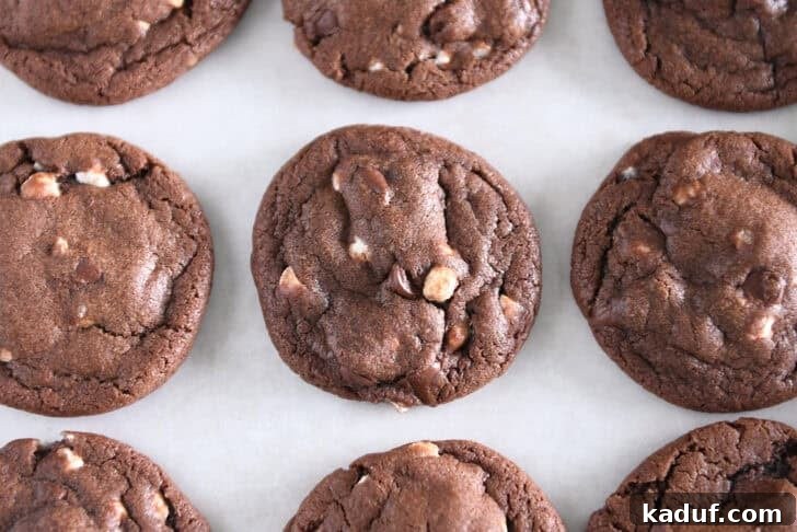 Cozy Cocoa Delights 7 Close up of baked hot cocoa cookie