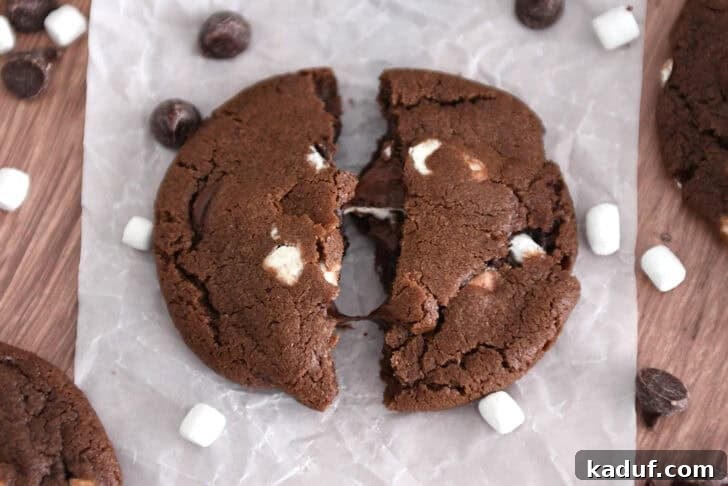 Cozy Cocoa Delights 8 Hot cocoa cookie broken in half
