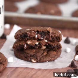 Cozy Cocoa Delights 9 Hot Cocoa Cookies