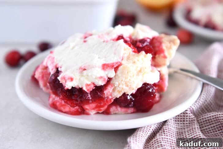 Divine Cranberry Citrus Angel Food Cake 13 Cranberry Orange Angel Food Cake Dessert on Plate
