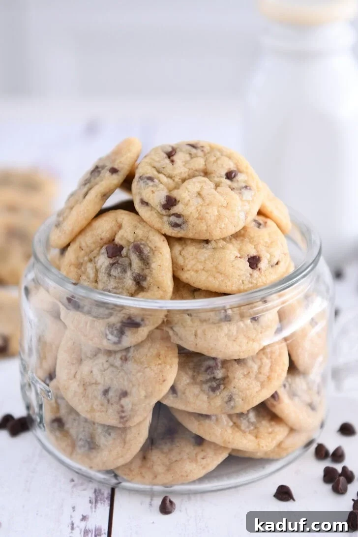 Tiny Chocolate Chip Delights 2 Glass jar filled with homemade mini chocolate chip cookies