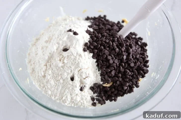 Tiny Chocolate Chip Delights 3 Cookie dough ingredients: Flour, chocolate chips, and dough.