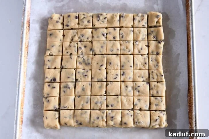 Tiny Chocolate Chip Delights 5 Cookie dough pressed and cut into squares