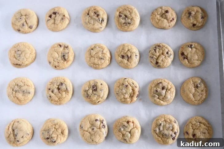 Tiny Chocolate Chip Delights 8 Baked mini chocolate chip cookies on parchment