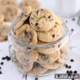 Glass jar filled with mini chocolate chip cookies