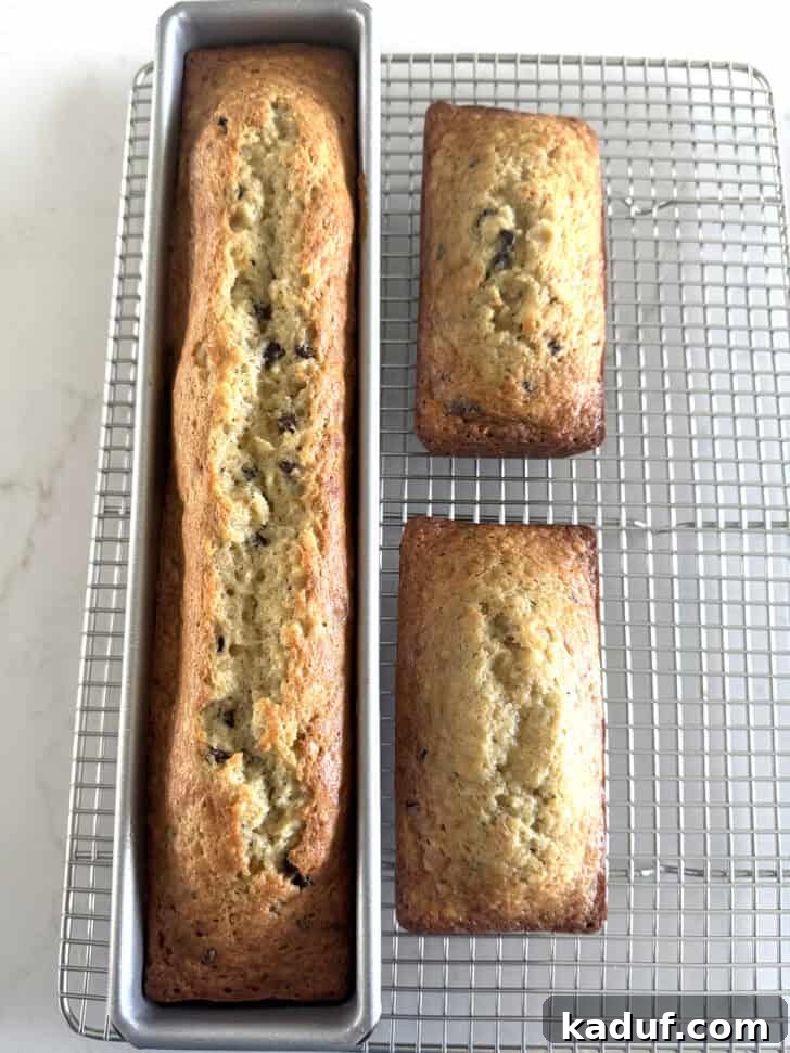 Friday Musings 9 Banana bread in mini loaf pans. Freshly baked goodness.