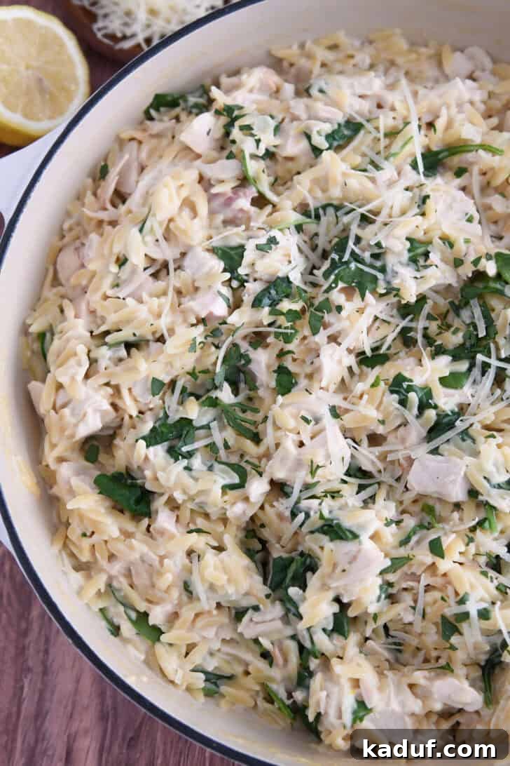 Zesty One-Pot Creamy Chicken Orzo 2 Top down view of cooked creamy lemon orzo in white pan with spinach and chicken.