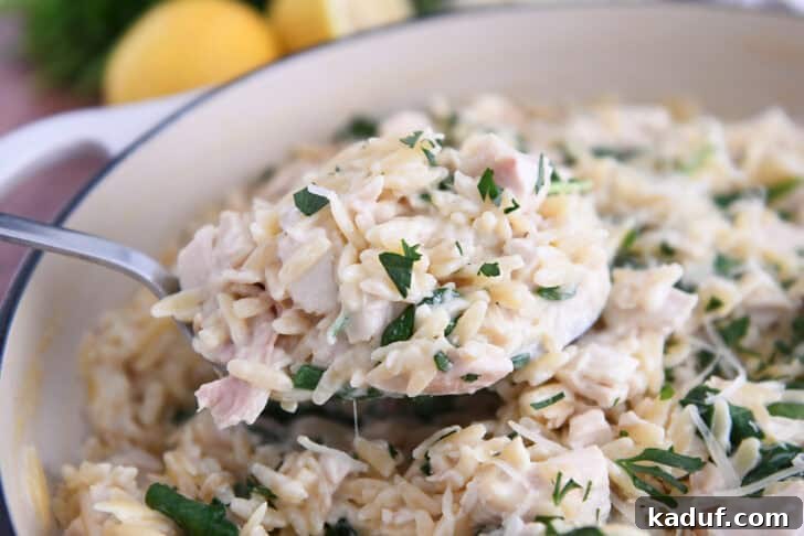 Zesty One-Pot Creamy Chicken Orzo 3 Serving spoon with scoop of creamy orzo, spinach and chicken.