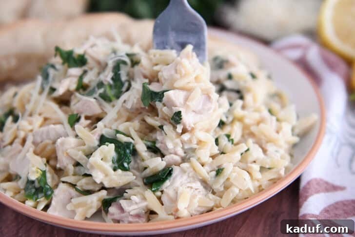 Zesty One-Pot Creamy Chicken Orzo 9 Creamy orzo with spinach and chicken on white plate with fork.