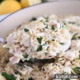 Serving spoon with scoop of creamy orzo, spinach and chicken.