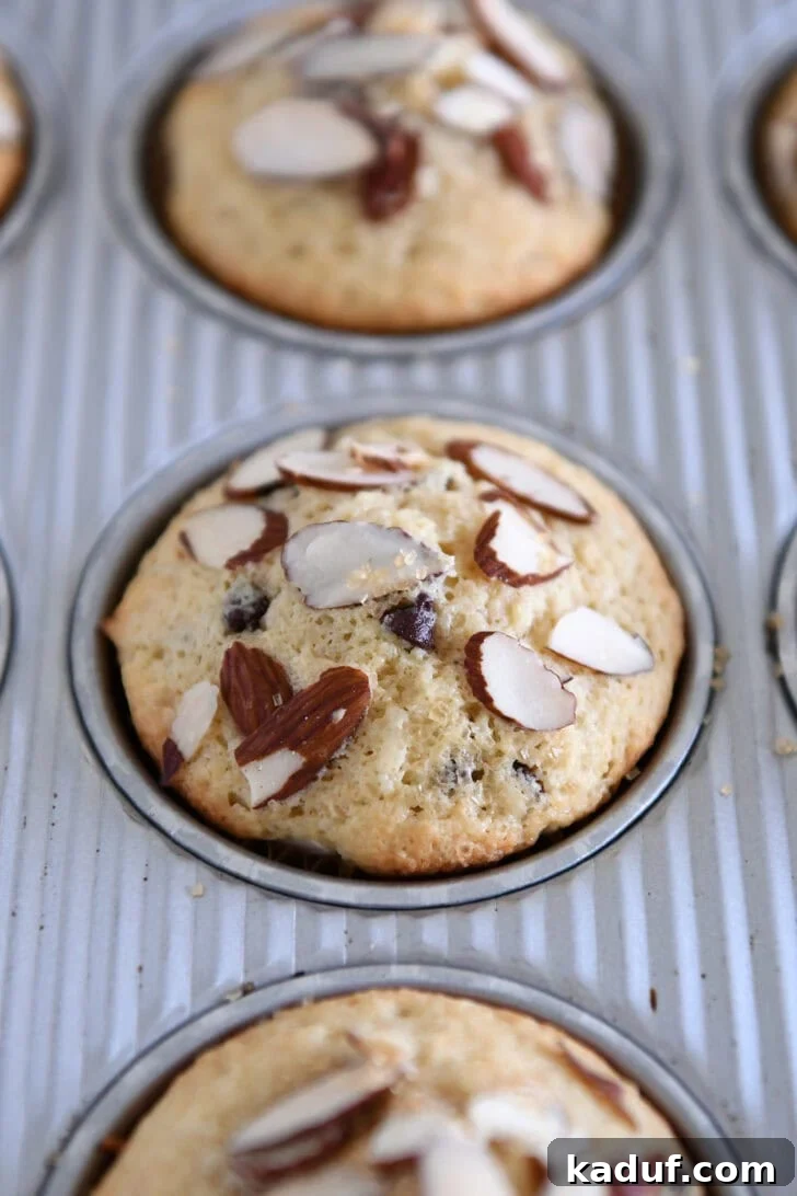 Decadent Almond Coconut Chocolate Chip Muffins 7 Baked almond coconut chocolate chip muffins in muffin tin.