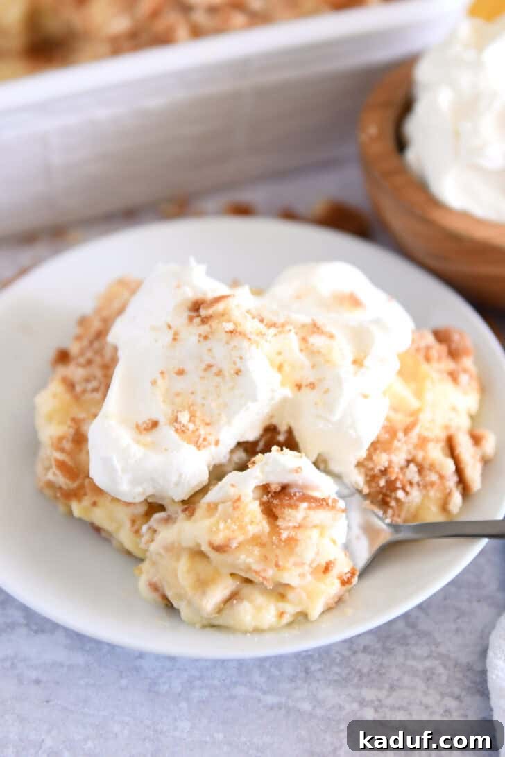 Homemade Banana Pudding from Scratch: Creamy Classic Recipe 2 Serving of banana pudding on white plate topped with whipped cream and bite on spoon.