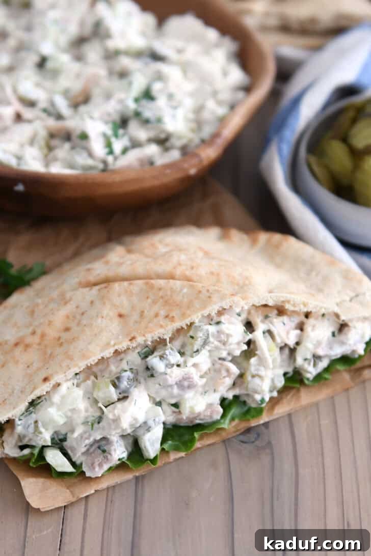Tangy Dill Pickle Chicken Salad Recipe 2 Whole wheat pita bread stuffed with lettuce and dill pickle chicken salad.