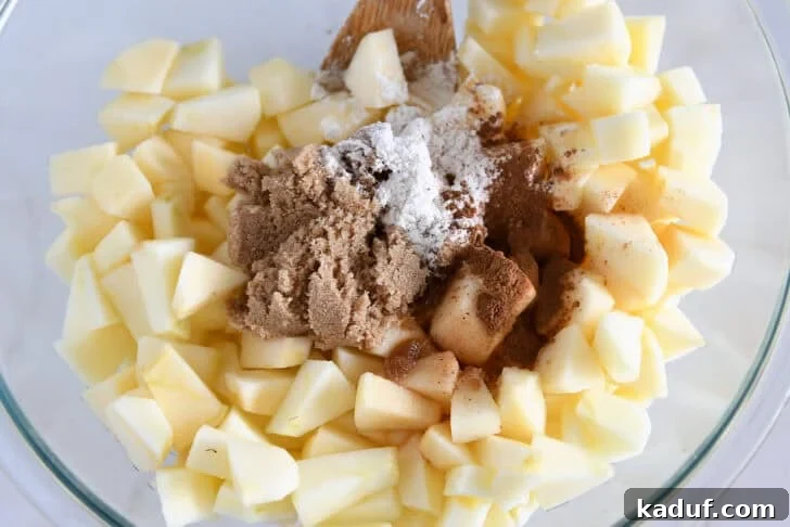 Classic Apple Crisp with Cinnamon Oat Streusel 5 Apples tossed with sugar and spices