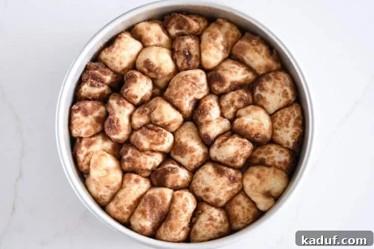 Fluffy Cinnamon Roll Bites: Mini Sweet Pastries 8 Cinnamon and sugar coated buttery dough in circle baking pan.